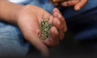 Commission d’enquête: 46 saisies de drogue recensées dans 25 collèges