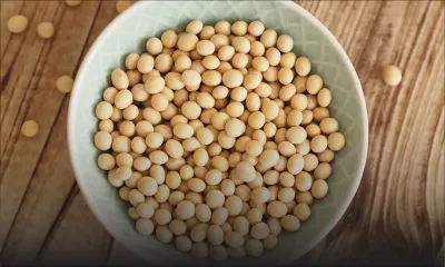 Laits de soja : un plus large choix pour les consommateurs