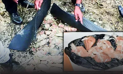 Découverte d’héroïne à Forbach : l’Adsu tente d’établir un lien avec les billets brûlés dans un champ