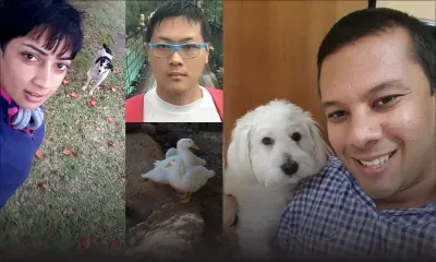 Jeunes professionnels : l’homme et ses meilleurs amis