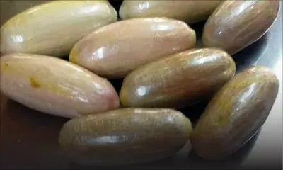 Arrestation de mules avec Rs 28 M d’héroïne : l’Adsu soupçonne un réseau nigérian d’être aux commandes