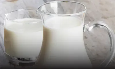 Baisse des prix du lait: Quel impact sur les consommateurs ?