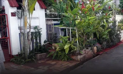 À La Tour Koenig : une famille aménage un jardin sur le trottoir