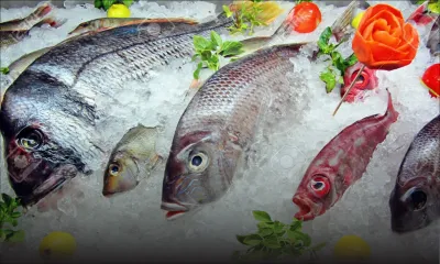 Grandes surfaces : ces aliments qui remplacent la viande et le poulet