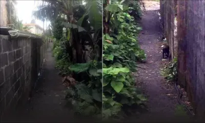 Asphaltage : demande faite sans succès à 16 maires de Curepipe