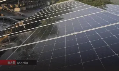 Ferme solaire de Rose-Belle Sugar Estate : la demande de permis EIA de Cluny Solar Ltd rejetée