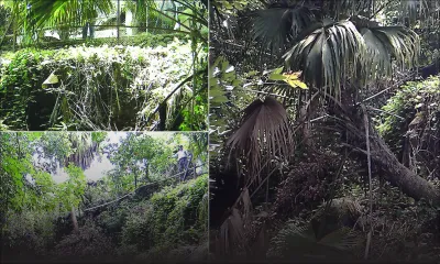 Érosion à Phoenix: terrain et maison risquent de s’effondrer