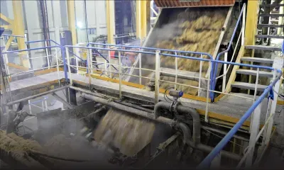 La récolte sucrière accuse un retard insurmontable