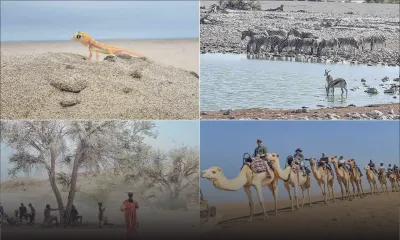 Namibie : le diamant de l’Afrique australe