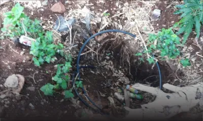 Des habitants de Coromandel lancent un appel de secours