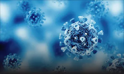 Cri de coeur d’une famille en cette période Festive : 24 cas positifs, six hospitalisations et deux décès au sein d’une famille