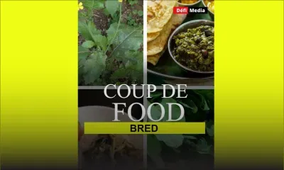 [Coup de Food] "Bred" : on vous dit tout