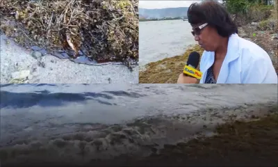 Pollution au mazout à Deux-Frères : «Nous vivons de la mer», dit Marie-Claire, effondrée 