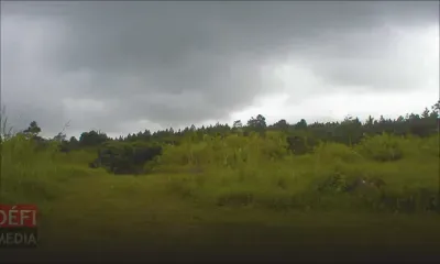 Des constructions illégales sur des terrains agricoles