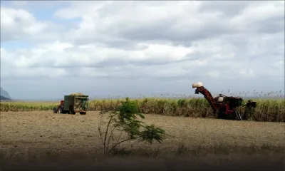 Industrie sucrière : Production de 386 000 tonnes de sucre en 2016