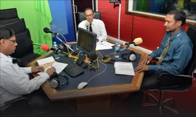 Moustiques : attention aux piqûres !