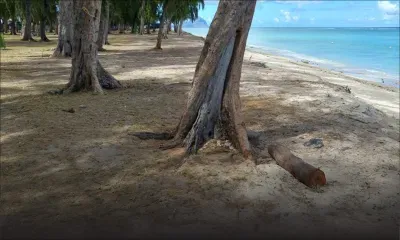 Plages publiques : vandales mis à mal