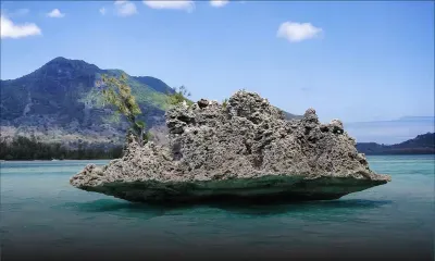 Noyade : une sortie familiale vire au drame