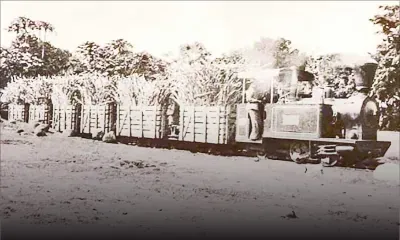 Le train à Maurice : la voie du développement