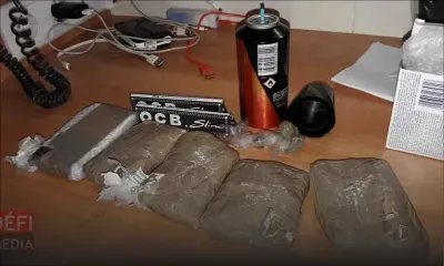 Possession de drogue : un assistant photographe arrêté sur un bateau de croisière 