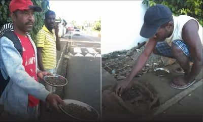 Belle-Rive/Olivia: Dans l’univers des pêcheurs de « chevrettes »