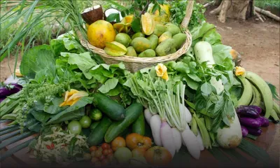 [Infographie] 2016 : une année riche en fruits et légumes