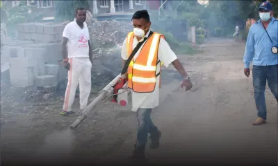 55 cas de dengue répertoriés