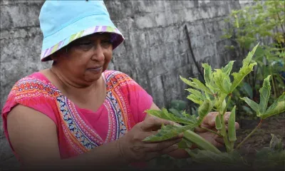 Lakshmi Gunessee : pionnière de l’agriculture bio à Maurice