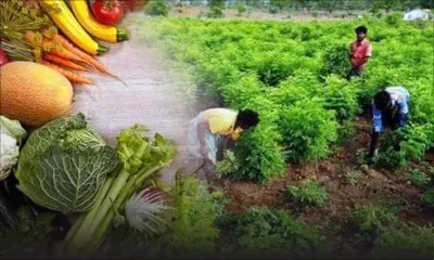 FreeArt Association : place à la culture universelle