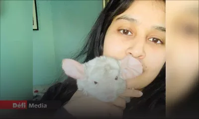 Shabnam Heerah attend toujours le feu vert pour introduire son chinchilla