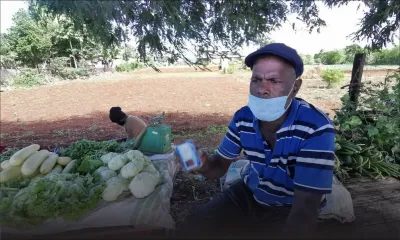 Contravention : les difficultés de certains planteurs pour vendre leurs produits