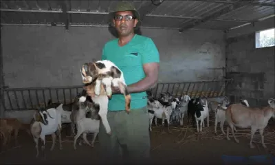 Rajesh Domoo, General Manager de la MMA : «Pas de hausse du prix de la viande de cabri»