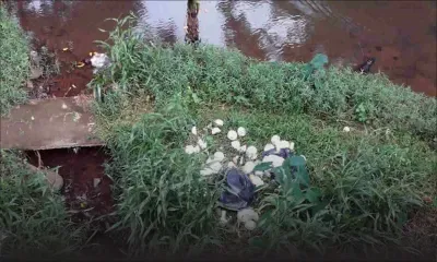 À Petit-Verger : incivisme quand tu nous tiens