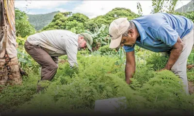 Laferm Coco : respecter la terre, cultiver la vie 