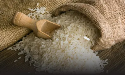 Sécheresse en Inde - Riz basmati: hausse de prix allant jusqu’à 20%