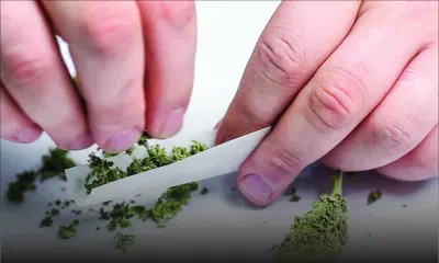 Cannabis : Le sempiternel débat