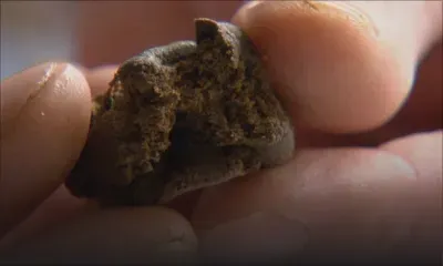 Arrêté en possession de hashish : le suspect prétend qu’il pensait que c’était un aphrodisiaque 