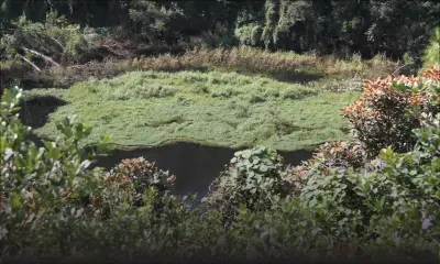 Trou-aux-Cerfs : ancien cratère d’un volcan dormant