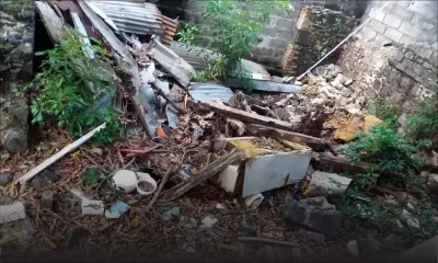 À Port-Louis : un terrain en friche provoque la prolifération de moustiques