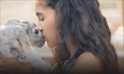 Il est possible d’adopter un lapin, au même titre qu’un chien ou un chat