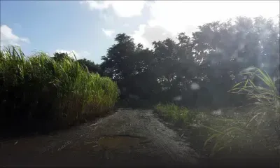 À Tamarin Falls, Henrietta : la voiture de location d’une Française saccagée 
