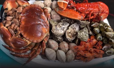 Consommation : hausse des prix pour les fruits de mer