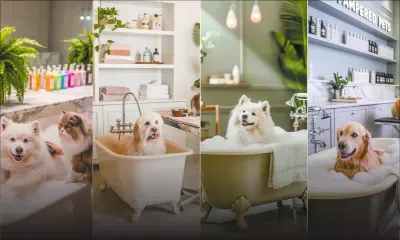 Bientôt un spa pour chiens signé PetStore : Ismaël Gunga mise sur le bien-être animal à Maurice