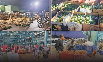 Dans l’effervescence matinale du marché de gros à Wooton