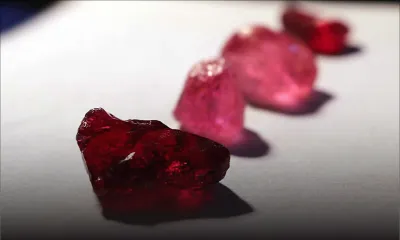 Vente aux enchères d’une importante quantité de rubis à Maurice