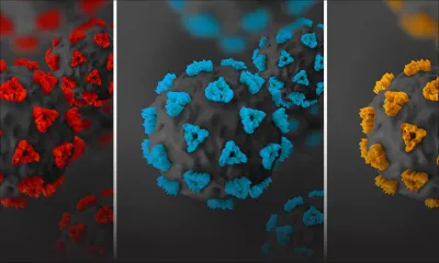 Réouverture des frontières - Variants : les risques évalués à 0, 01 %