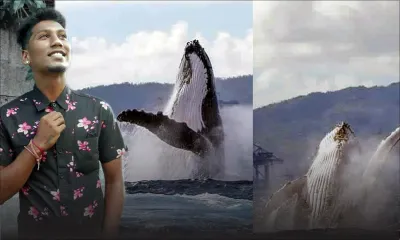 Torres Mungur : l’homme derrière les photos buzz d’une baleine