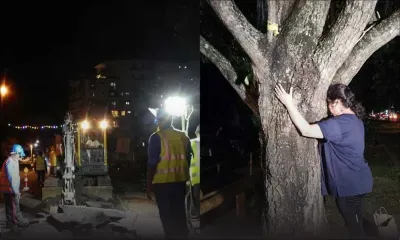 Ivan Collendavelloo : « L’abattage des arbres à la rue Vandermeersch est inévitable »