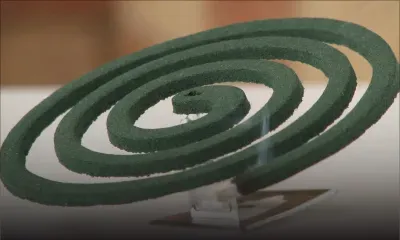 Insecticides: jusqu’à 200 % de hausse dans la vente