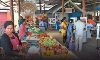 Marché de Moka : difficile cohabitation entre le conseil et les maraîchers